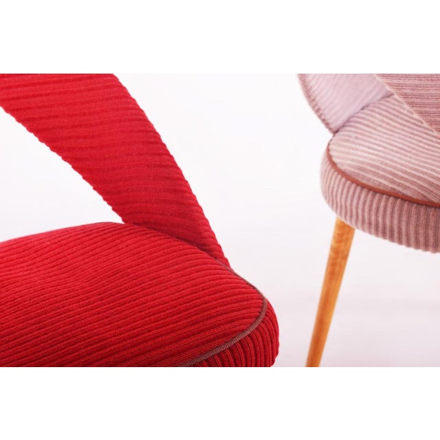 Mid-Century Chairs in Beech, Czech, 1950s, Set of 4 For Sale - Image 6 of 11
