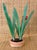 Vintage Japanese Carved Polychrome Potted Flower For Sale - Image 9 of 10