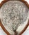 Wood Pair of Custom Shadowbox Mounted Black Sea Fan Coral Specimens For Sale - Image 7 of 12