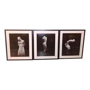 Set of Three David Teplica Untitled 1996 Artist Proof Selenium Gelatin Silver Print Photographs