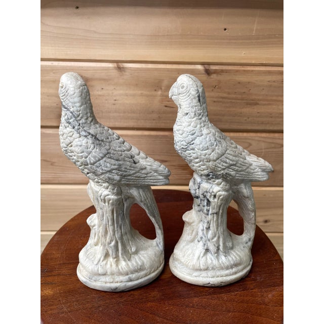 Hollywood Regency Vintage Holland Mold Cast Marble Parrots - Pair For Sale - Image 3 of 10