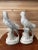 Hollywood Regency Vintage Holland Mold Cast Marble Parrots - Pair For Sale - Image 3 of 10