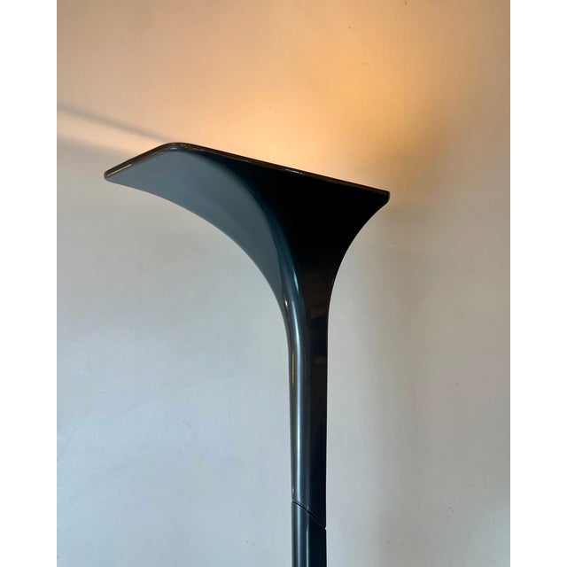 Solaris Floor Lamp by Luciano Cesaro for Tre Ci Luce, Italy, 1980s For Sale - Image 10 of 18