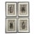 Neoclassical, Four Framed Architectural Drawings of French Interiors, 20th C. For Sale