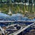 Nymph Lake, Rocky Mountain Park, CO by David Shingler | Oil on Board Landscape of a lake with mountains and trees. For Sale - Image 4 of 5