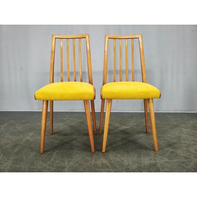 Mid-Century Modern Beech Dining Chairs from TON, Czechoslovakia, 1970s, Set of 4 For Sale - Image 14 of 16