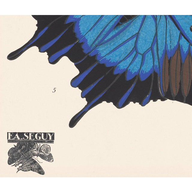 Papillons (Butterflies) Plate 16 Giclee Reproducion Art Print by Emile Allian Séguy For Sale - Image 4 of 4