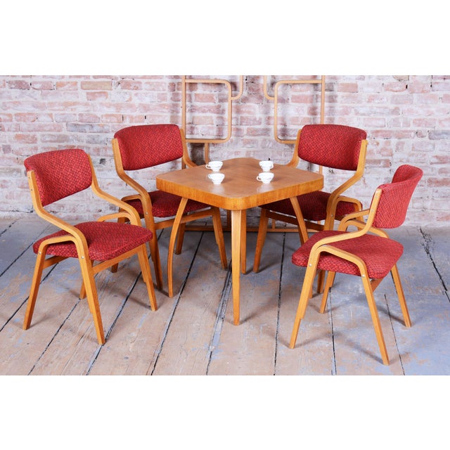 Mid-Century Czech Chairs in Maple attributed to Ludvik Volak for Drevopodnik Holesov, 1960s, Set of 10 For Sale - Image 10 of 17