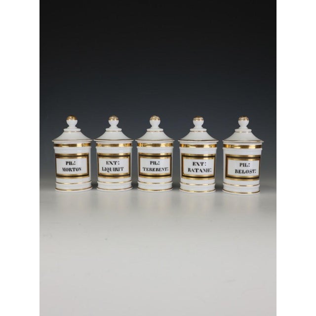 Antique Continental Opaline Glass Apothecary Jars, 1880, Set of 5 For Sale - Image 3 of 10