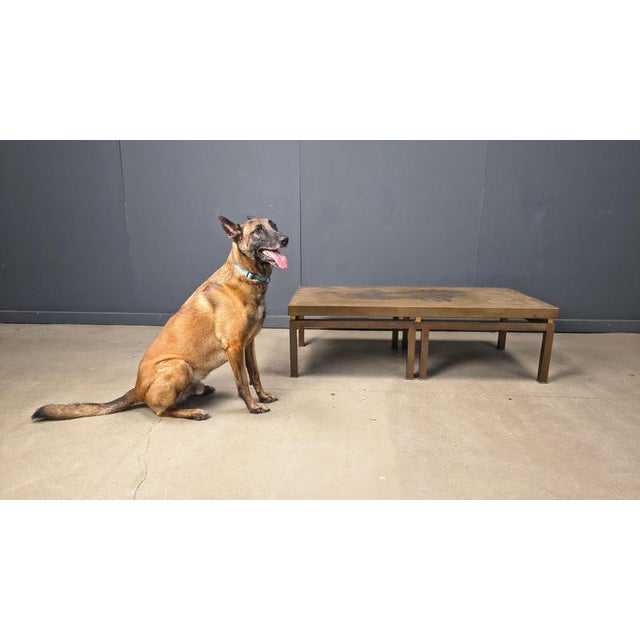 Vintage Etched Brass Coffee Table, 1970s For Sale - Image 11 of 12