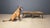 Vintage Etched Brass Coffee Table, 1970s For Sale - Image 11 of 12