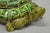 Mid-Century Modern Vintage Tilso Japan Mid Century Modern Green Ceramic Figural Turtle Soup Tureen For Sale - Image 3 of 17