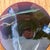 Vintage Postmodern Signed Glazed Ceramic Hand Painted Plate For Sale - Image 12 of 13