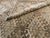 Galerie Shabab Collection Early 20th Century Central Asian Turkoman Carpet For Sale - Image 12 of 12