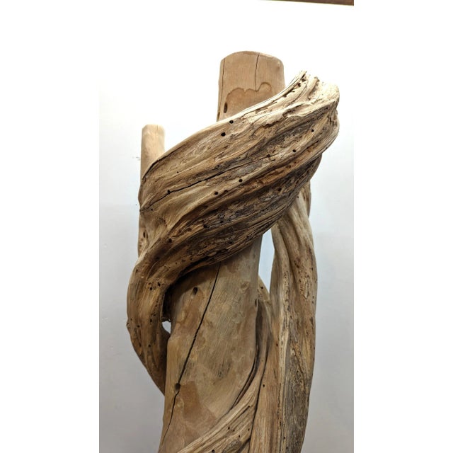 Natural Liana Vine Sculpture For Sale In New York - Image 6 of 12
