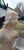 A.Michelot, Figurative Composition, 19th Century, White Marble For Sale - Image 15 of 18