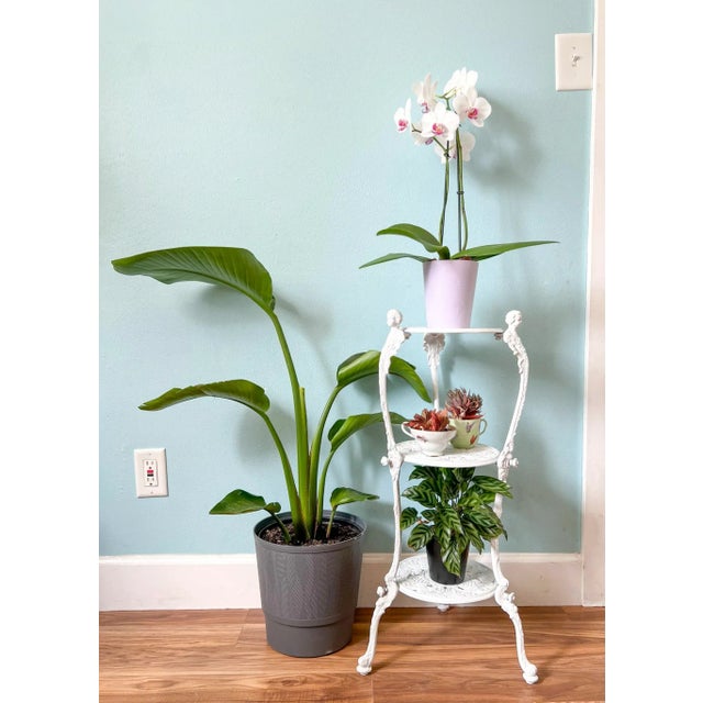 A charming vintage three-tier plant stand crafted from cast aluminum, offering the ornate look of antique cast iron but...