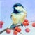Sweet Berry Treat by Lani Vlaanderen | Oil on Linen Bird perched on a branch with red berries. For Sale