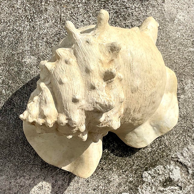 Vintage Monumental Plaster Over Resin Conch Shell For Sale In West Palm - Image 6 of 6