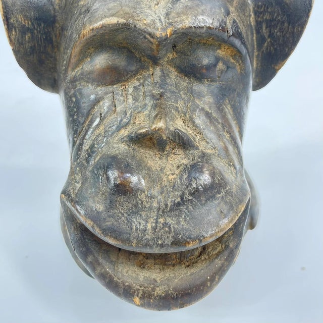 Early 20th Century Baule Monkey Vessel with Lid Côte d'Ivoire For Sale - Image 13 of 14