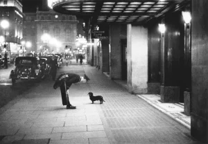 Getty Images Archive Photographer, Commissionaires Dog, Black and White Photograph on Paper