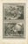 Pieter Mortier, Amsterdam Acts and Apocalypse, 1700, Etching on Paper, Set of 3 For Sale - Image 4 of 9
