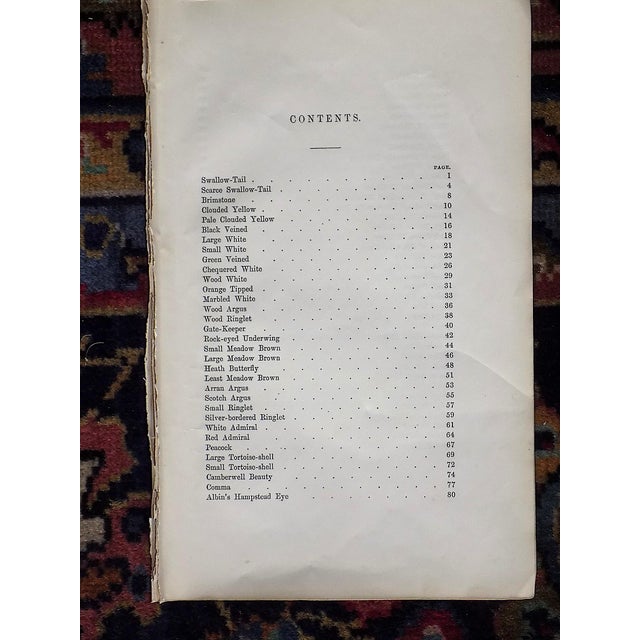 Antique 19th Century Hand Colored Butterfly Lithographs - Set of 12 For Sale - Image 10 of 12