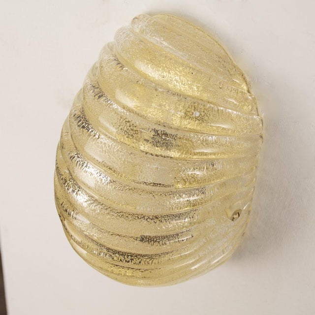 Set of 2 murano glass shell wall sconces in amber color with brass structure, made in italy dimensions: w 11 cm x h 24 cm...