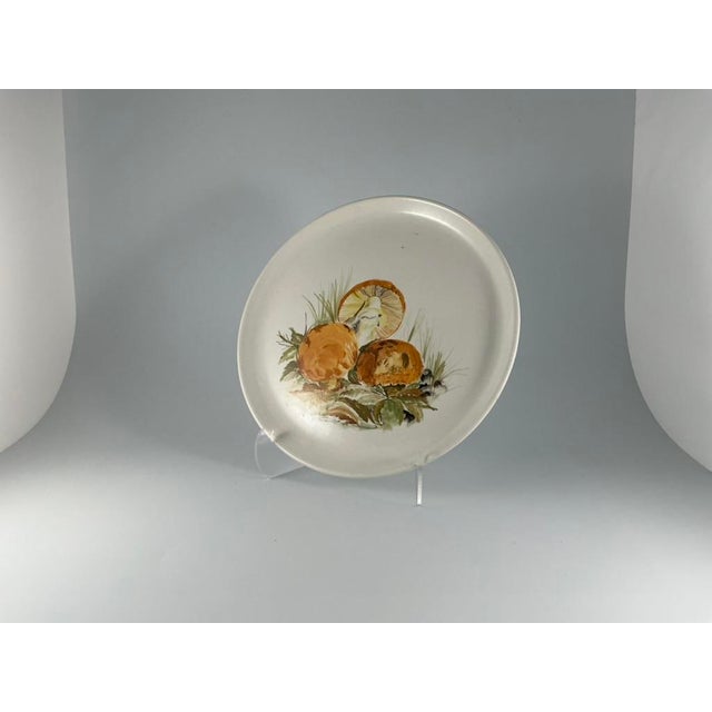 Vintage Hand-Painted Mushroom Plate Set of 9 Italian Ceramic Art, 1970, Set of 9 For Sale - Image 6 of 18