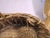 Rustic Vintage Wood Shave Natural Fiber Gathering Basket For Sale In New Orleans - Image 6 of 15