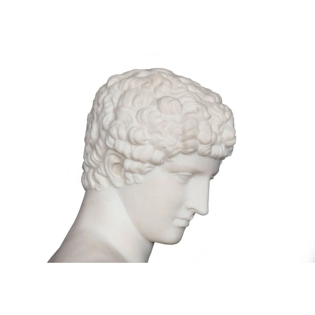 Grand Tour 19th Century Marble Bust of Antinous as Hermes by Filli Pugi For Sale - Image 10 of 12