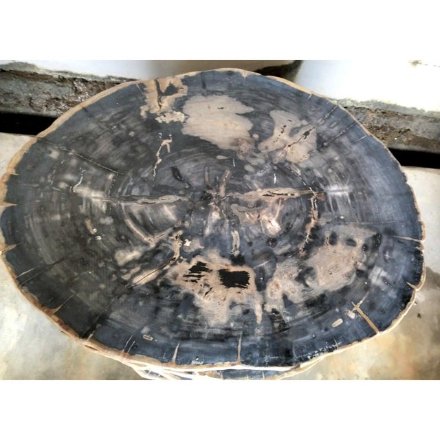 Contemporary Andrianna Shamaris Petrified Wood Coffee Table W/ Teak Base--VIVIAN For Sale - Image 3 of 5