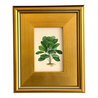Original Hand-Painted Palm Painting, Framed For Sale