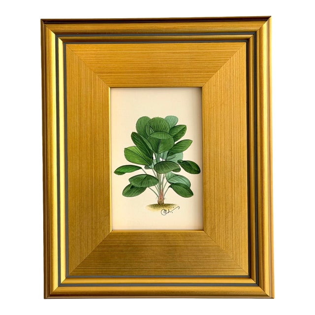 Original Hand-Painted Palm Painting, Framed For Sale