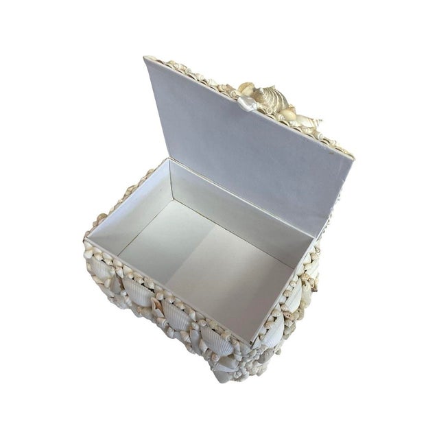Paper White Footed Lidded Shell Box With Decorative Cluster on Top For Sale - Image 7 of 7