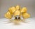 Vintage Italian Murano Wall Lights with Caramel Lattimo Glass Petals in the Manner of Mazzega, 1990, Set of 2 For Sale - Image 13 of 18