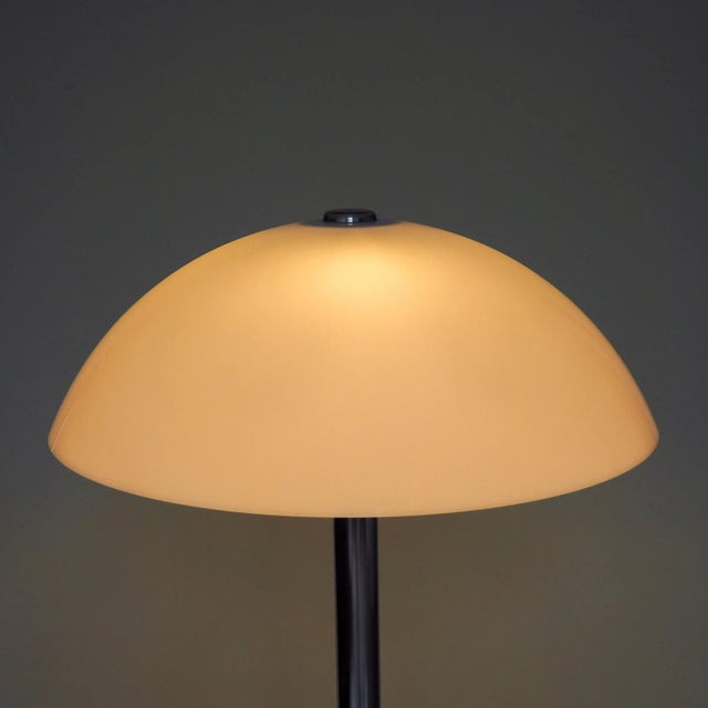 Floor Lamp by Luigi Massoni for Guzzini, 1970s For Sale - Image 6 of 12