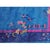 1920s Blue Field Traditional Floral Antique Chinese Art Deco Knotted Wool Rug For Sale In New York - Image 6 of 7