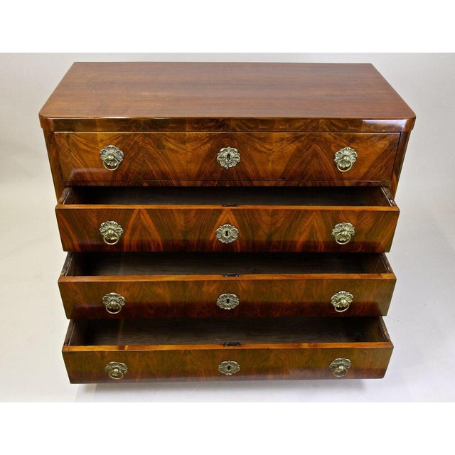 19th Century Biedermeier Chest of Drawers, Austria, 1830s For Sale - Image 18 of 18