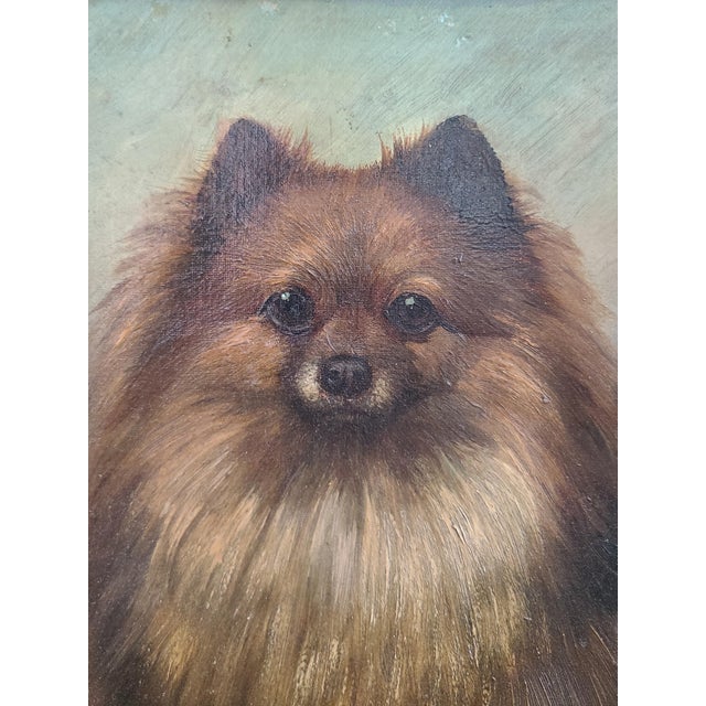Realism Small Antique 19th Century Oil Painting Portrait of a Pomeranian Dog For Sale - Image 3 of 14