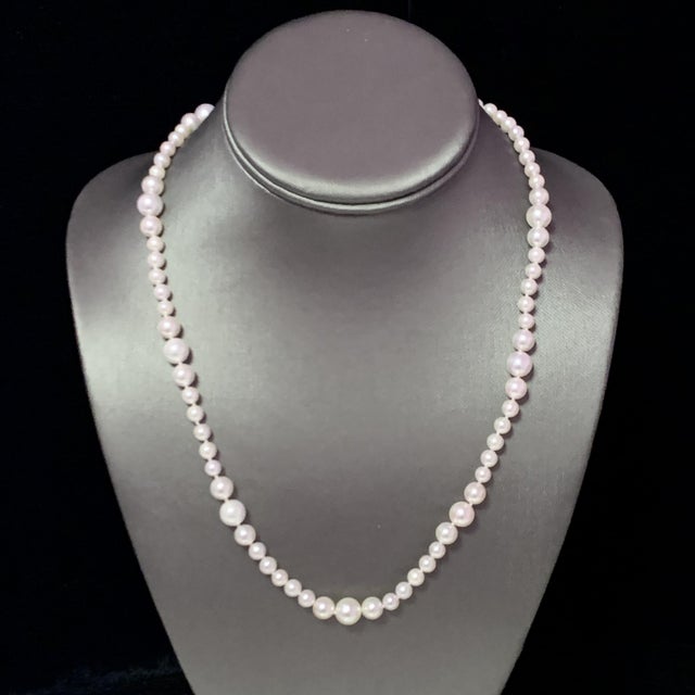 Akoya Pearl Necklace 14k Yellow Gold Certified For Sale In New York - Image 6 of 11