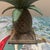 Add a touch of vintage island charm to your home with this heavy, decorative pineapple candle holder. Symbolizing...