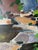 Nils-Folke Knafve Swedish Abstract Landscape Oil Painting For Sale - Image 4 of 4
