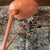 Design Within Reach Design Within Reach Grasshopper Floor Lamp For Sale - Image 4 of 4