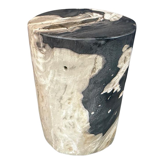 Andrianna Shamaris Modern Organic Petrified Wood Side Table For Sale