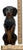 Outstanding & Very Rare Large Vintage Cast Iron "Begging Dachshund" Signed by Maker & Dated 1931 - 11 Inches Tall For Sale - Image 17 of 18