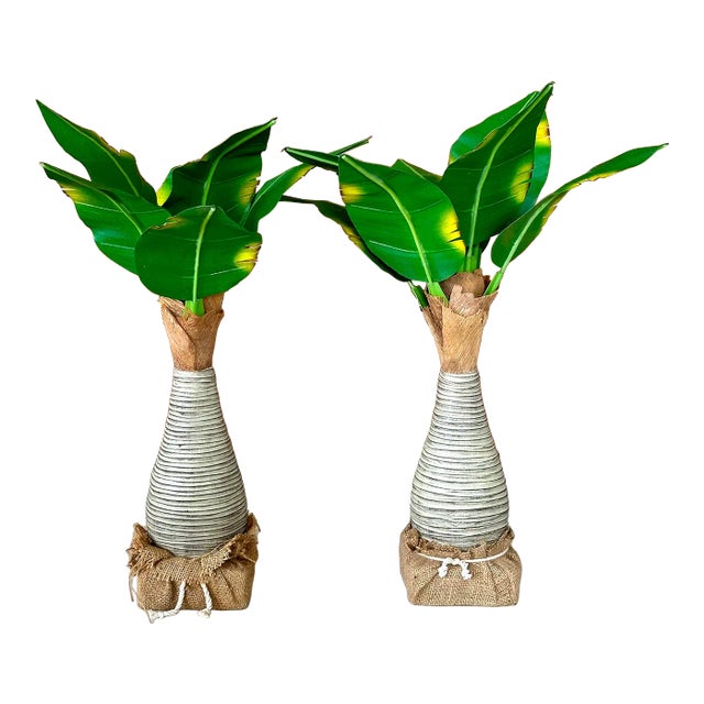 Pair Tropical Coastal Canvas Manila Palm Trees For Sale
