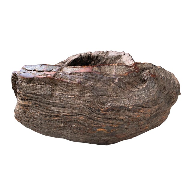 19th Century Massive Burl Wood Bowl For Sale - Image 5 of 12