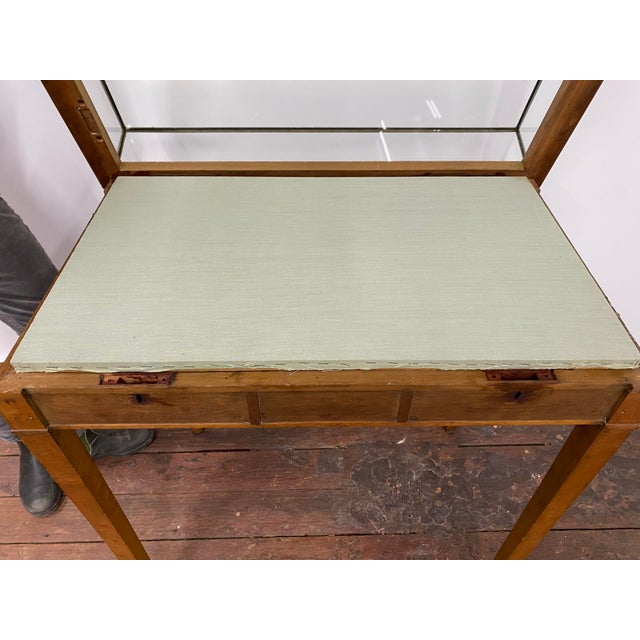 Edwardian Glass and Bronze Museum Vitrine For Sale In New York - Image 6 of 18