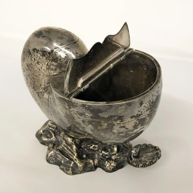 Victorian Antique English Silver Plated Nautilus Shell Spoon Warmer For Sale - Image 3 of 8